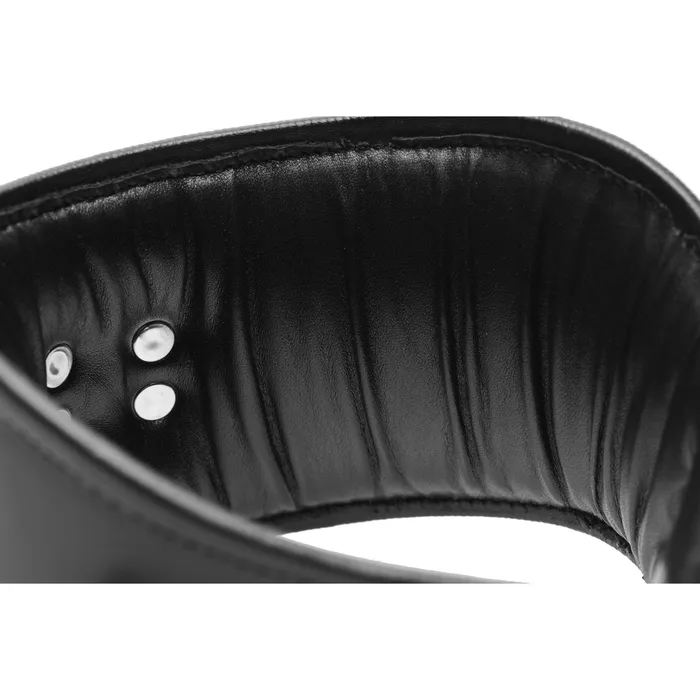 Restraints | Strict Leather Padded Leather Locking Posture Collar