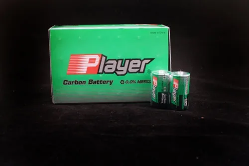 Vinnic Player Batteries Male Sex Toys Player Extra Heavy Duty C Batteries 24 Count Box