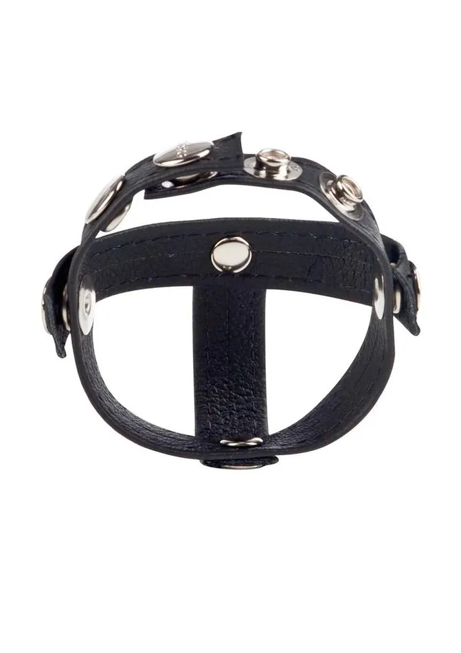 Couples | Colt Colt Leather C/B Strap H-Piece Divider Cock Ring