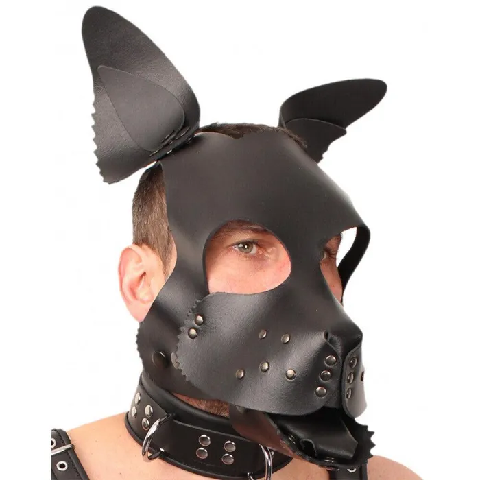 Restraints Red Leather Puppy Dog Mask The Red