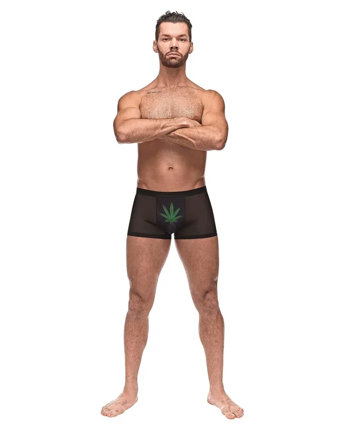 Male Power Anal Private Screening Micro Mesh Modal Pot Leaf Black LG