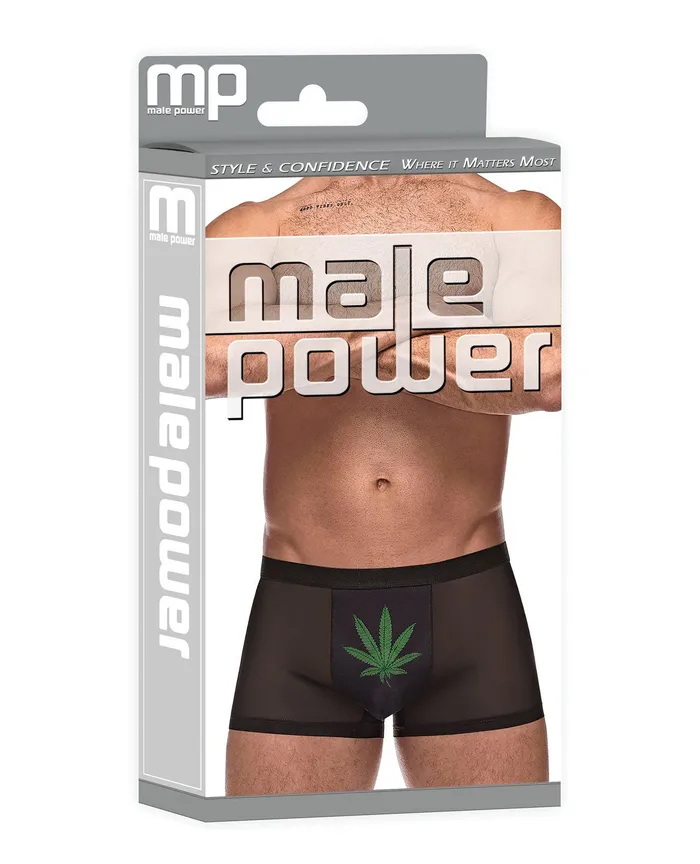 Male Power Anal | Private Screening Micro Mesh & Modal Pot Leaf Black LG